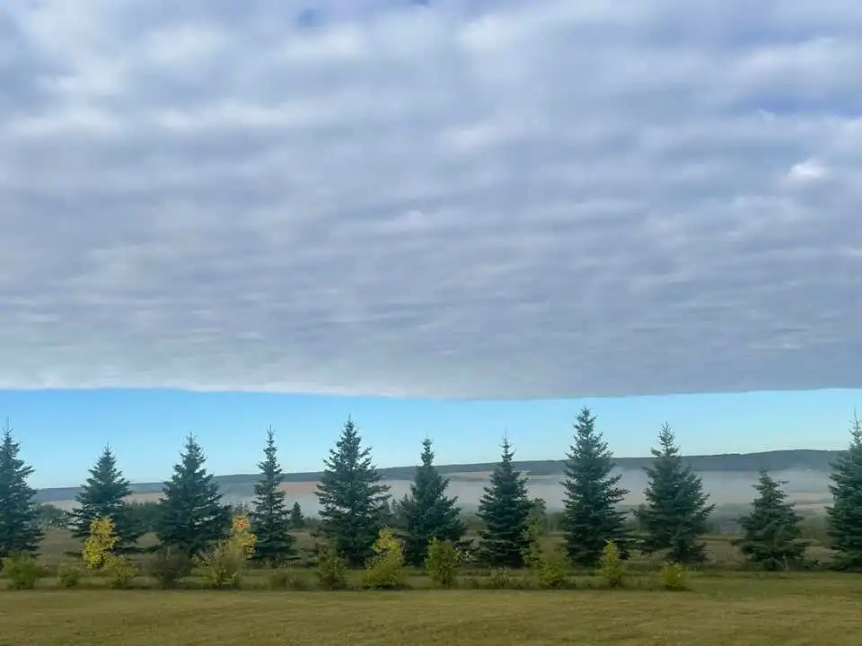 What an interesting morning☁️☁️🐦‍⬛ the low lying fog with a layer of clouds resting above💙 and then a huge flock of magp...